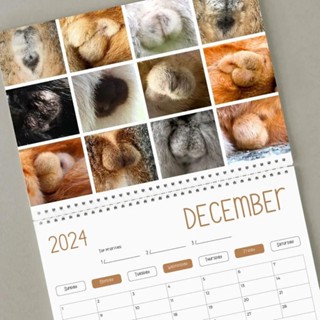 Cat Butthole Calendar 2024 Hilarious Cat Butt Wall Calendar Whimsical   Ph 11134201 7r98w Ln1grp4pwvgf92 Tn