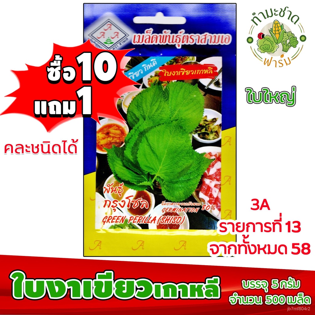 100% plump seeds, thai in stock ready to send [10 get 1] 3A Korean ...