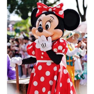 Minnie mouse mascot sales costume for sale