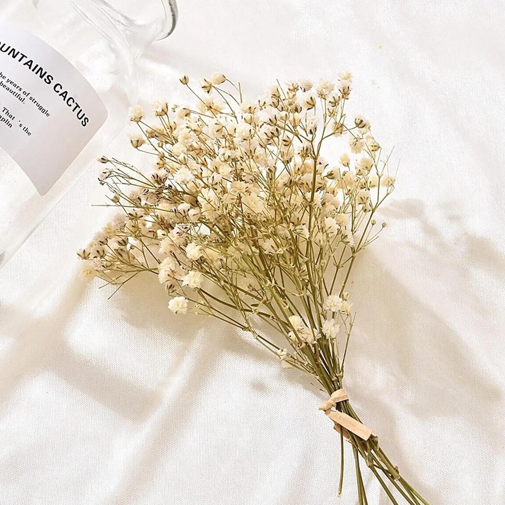 A Bunch Of Mini Natural Dried Flower Baby'S Breath Background Decor ...