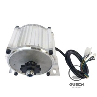 Dc V V W W W W Tricycle Motor High Speed Chain Motor