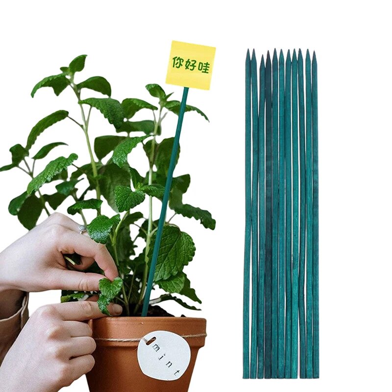 ☮10Pcs Green Bamboo Sticks Plant Support Flower Stick Orchid Rod Plant ...