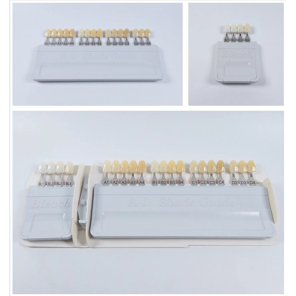 Dental Teeth AD Shade Guide Ivoclar Vivadent Porcelain Material 20