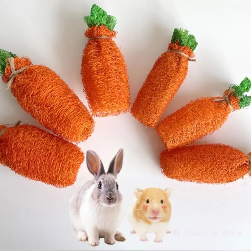 ๑Loofah Carrot Chew Toy for Small Pet Chinchilla Guinea Pigs Rabbit