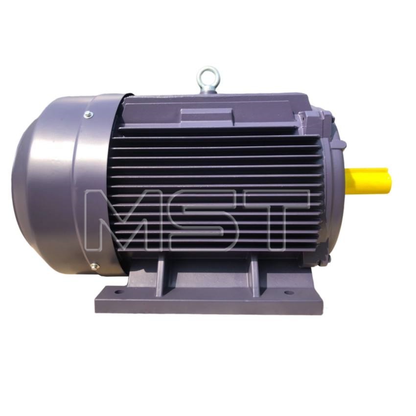 3 Phase Induction Motor IE3 Premium Efficiency AC Industrial Electric ...