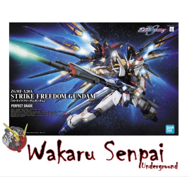 PG 1/60 Strike Freedom Gundam | Shopee Philippines