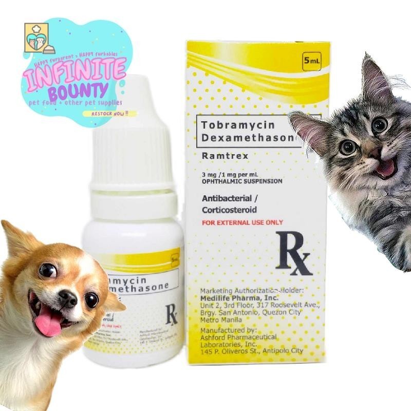 quality goods 5ml eye Ramtrex Dexamethasone Care Eye Pet drops