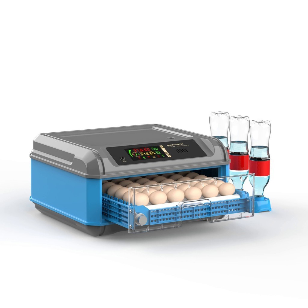 110V 220V 12V battery and electric Dual Power incubators hatching eggs