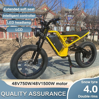 large bike size in inches