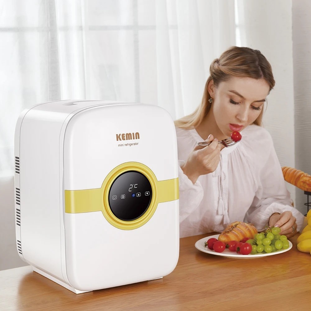 Electric Car / Household mini Refrigerator Portable Food Cold Storage ...
