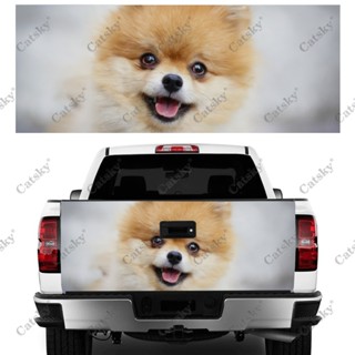 ☂Pomeranian Animal Car sticker truck tail vinyl wrap appearance