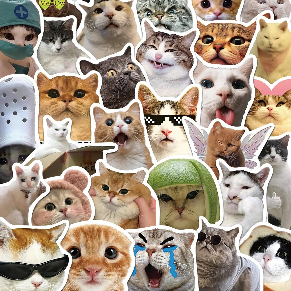 10/30/50PCS Funny Cat Meme Cartoon Stickers for Kids DIY Laptop Bike ...