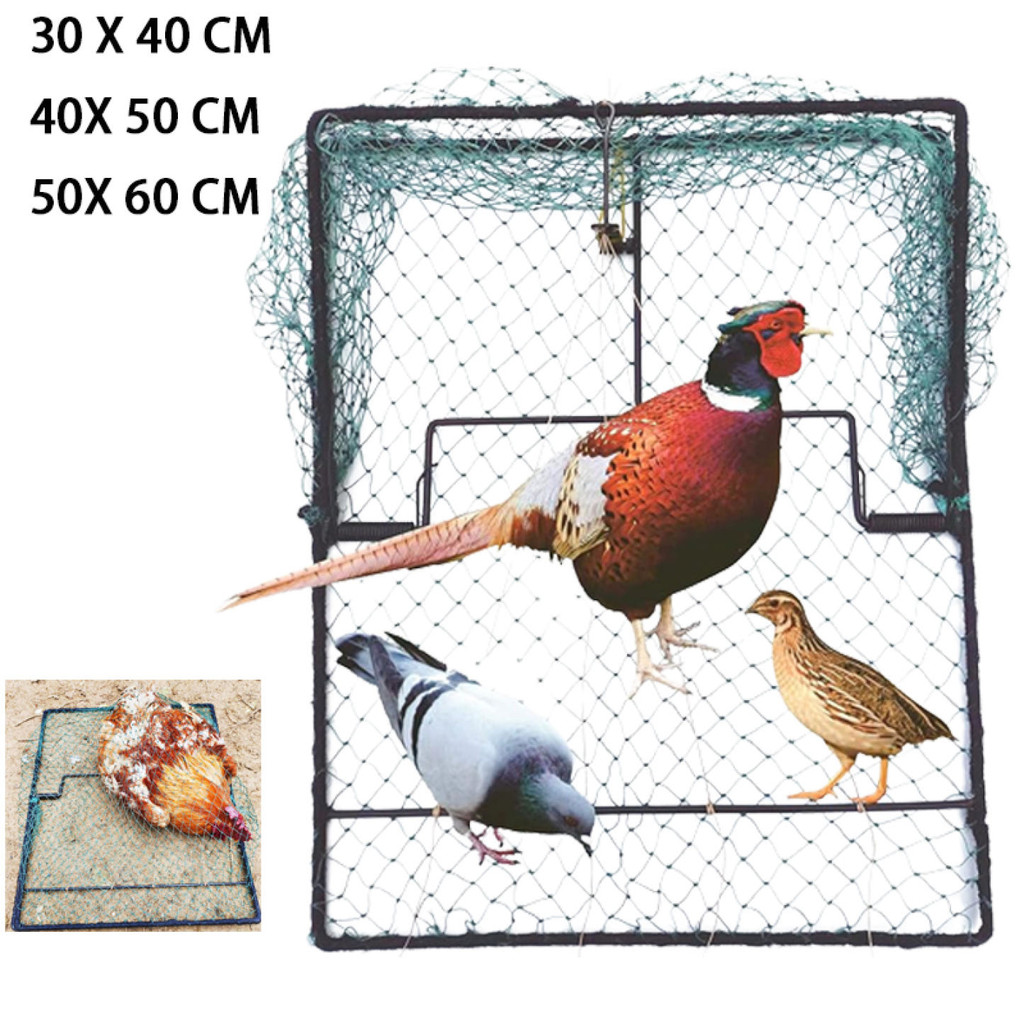 Bird Trap for Pigeon Quail Sparrow Chicken Spring Catching Net Traps ...