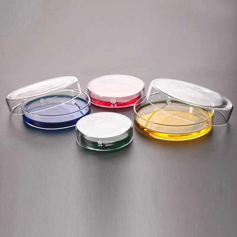 10 Pcs 60mm X 15mm Polystyrene Sterilized Petri Dishes With Lids Clear