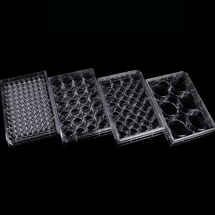 Sterile Plastic 12 Wells Cell Culture Plate Polypropylene Petri Dish