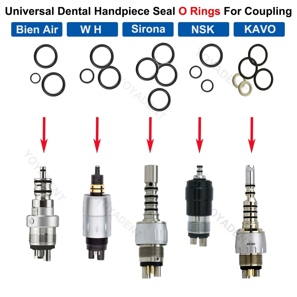 Dental Handpiece Coupler Seal O Rings For Kavo Multiflex NSK WH SIRONA