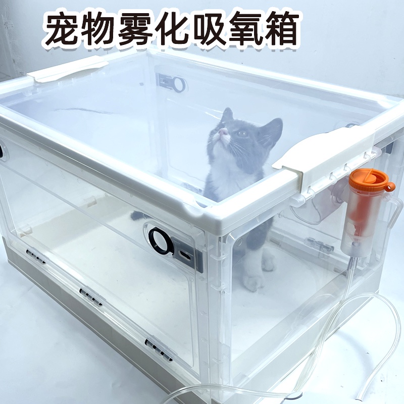 new Box Dog Cough Atomization Oxygen Branch Atomization Box Cough Cat