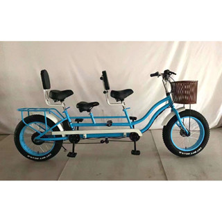 Two seater bicycle sales for sale