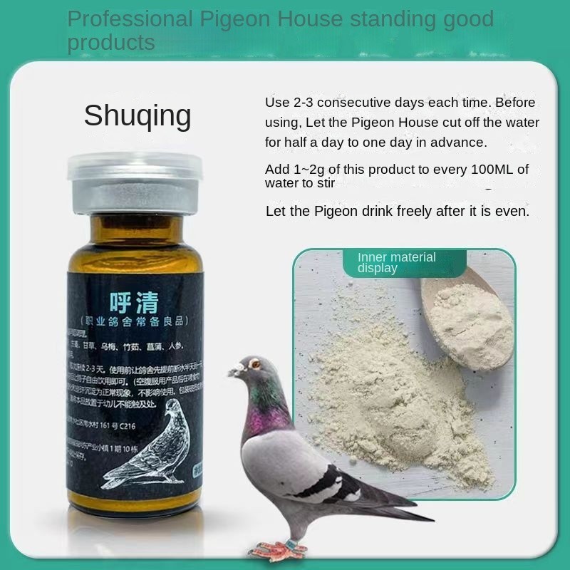 Pigeon Respiratory Tract Parrot Birds Cough Asthma Breathing ...