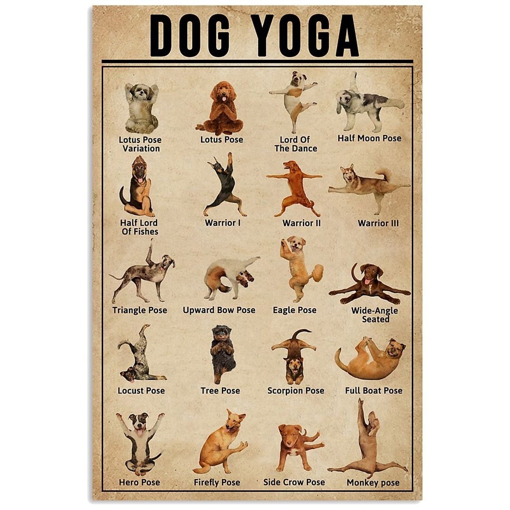 ☝Yoga Canvas Poster Dog Yoga Asanas Cat Yoga Art Prints Practice Yoga ...