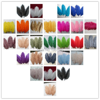 유Wholesale 100pcs / A lot of beautiful ostrich feathers 15-20cm / 6 ...