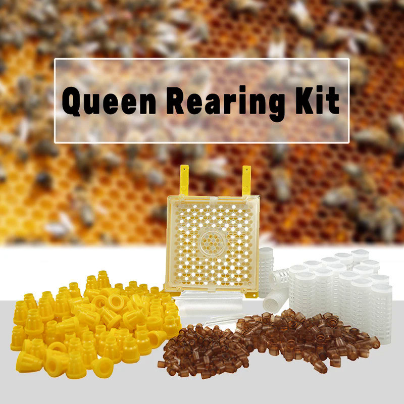 Germany Jenter Queen Rearing Kit Nicot Bee Queens Rearing System Queen ...