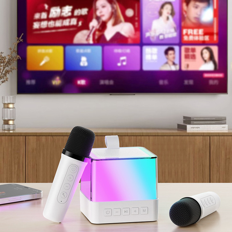 Portable Wireless Dual Microphone Karaoke Machine Bluetooth PA Speaker ...
