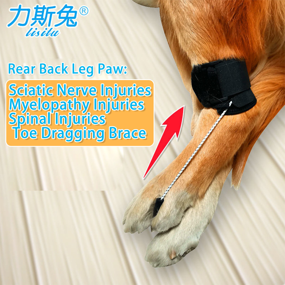 Dog Knuckling Corrector Toe Dragging Brace for Rear Back Leg Paw with
