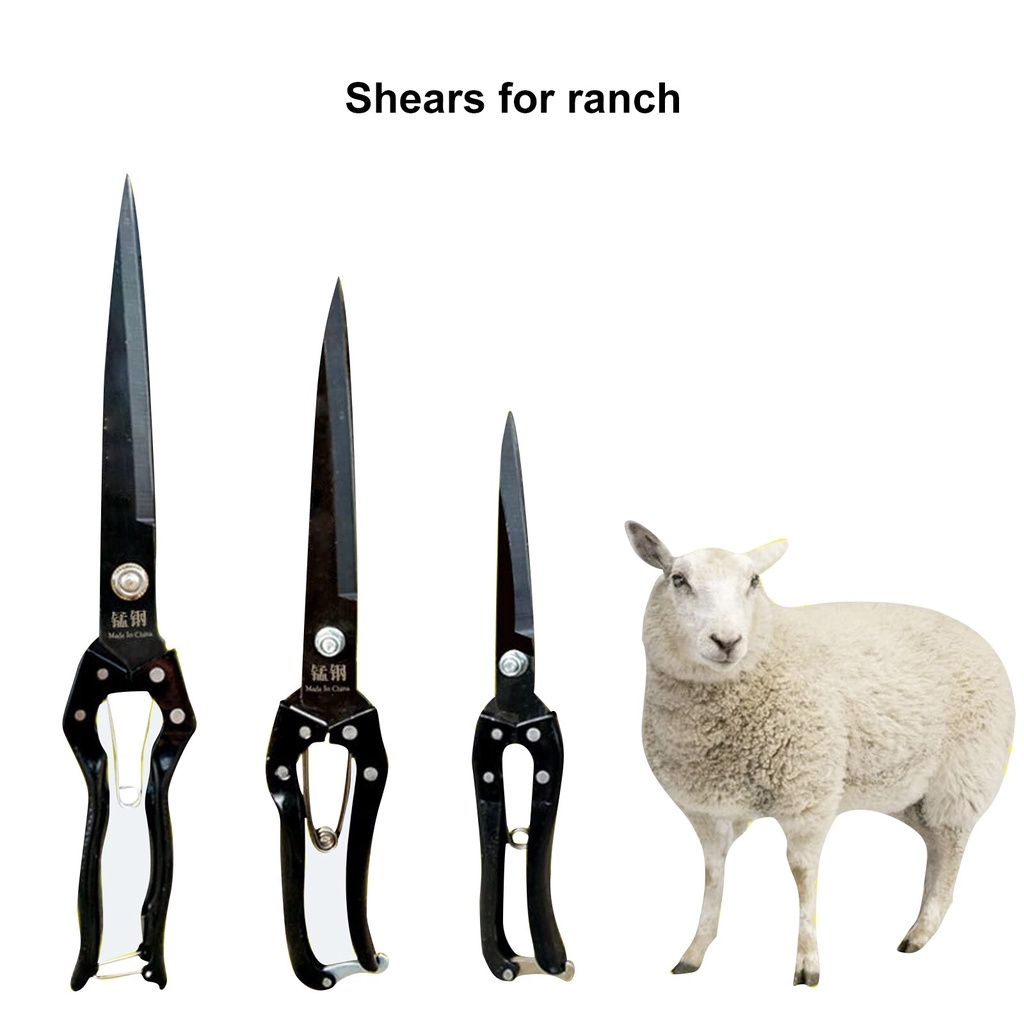 Goat Sheep Wool Scissor Trimmer Hand Shearing Cow Horsehair Wool ...