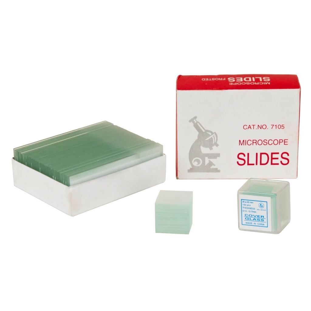 prepared microscope glass slides 7101 slide glass microscope | Shopee ...