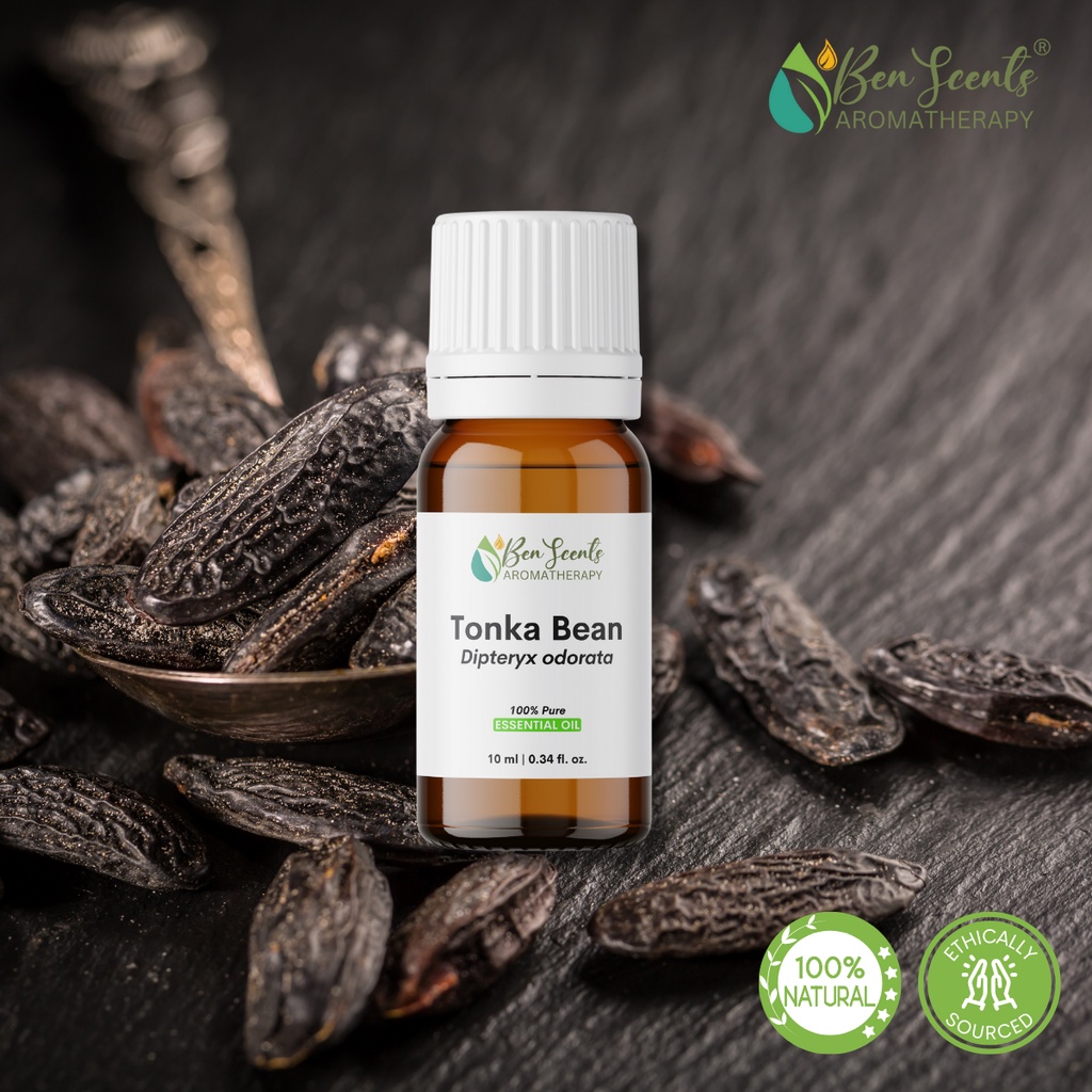 Tonka Bean Dipteryx odorata Tonquin Bean Essential Oil 100 Pure