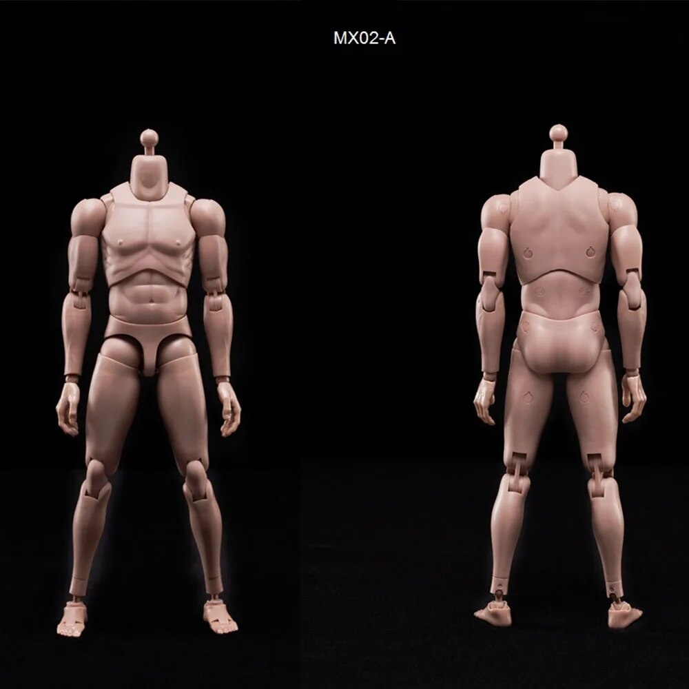 1/6 Male Narrow Shoulders Muscle Body 12 Flexible Action Figure