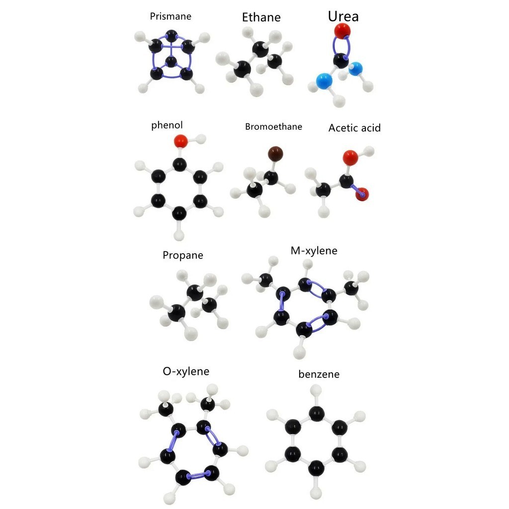 Organic Chemistry Atom Molecular Model Kit Set for High School Teachers