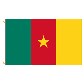 60×90 90x150 120×180CM Cameroon Emblem Flag Polyester Printed Banner ...