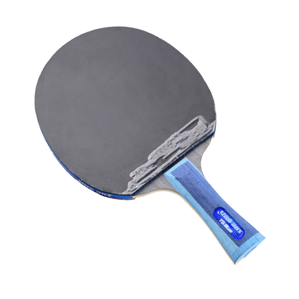 DHS table tennis racket finished racket TG blue rubber TG3 Tinarc pong ...