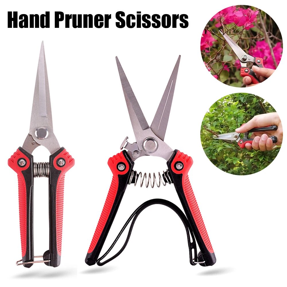 ۞Pruning scissors pointed garden scissors fruit and vegetable pickers ...