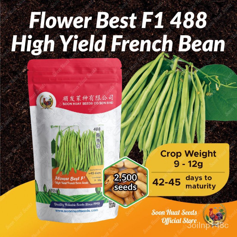Soon Huat bean seeds snaps 488 F1 French bean seed White Flower sauteed