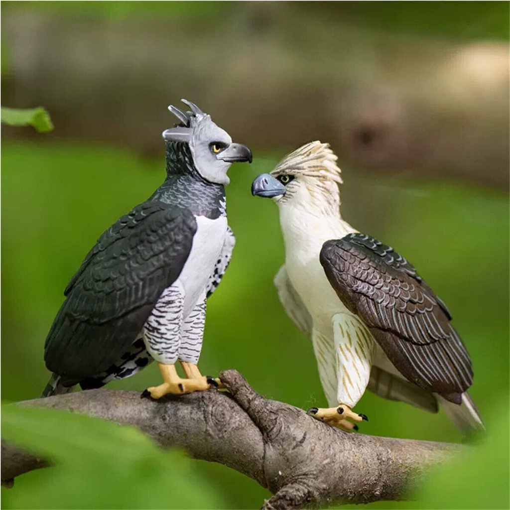 Philippine Eagle Model Wild Animal N Harpy Eagle Collector Ornate Hawk ...