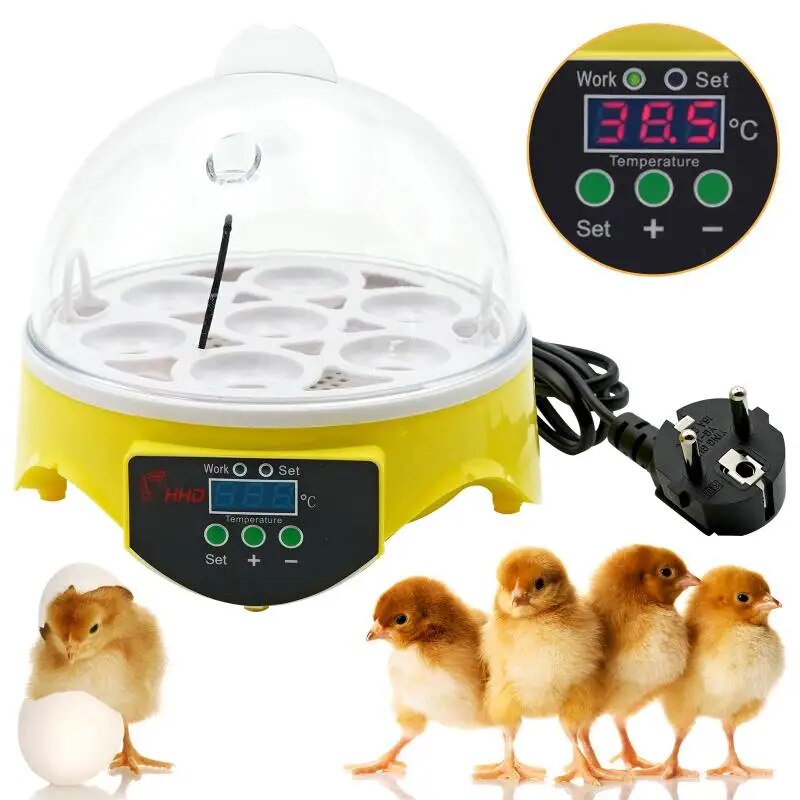24m Mini 7 Eggs Incubator for Poultry Brooder Digital Temperature