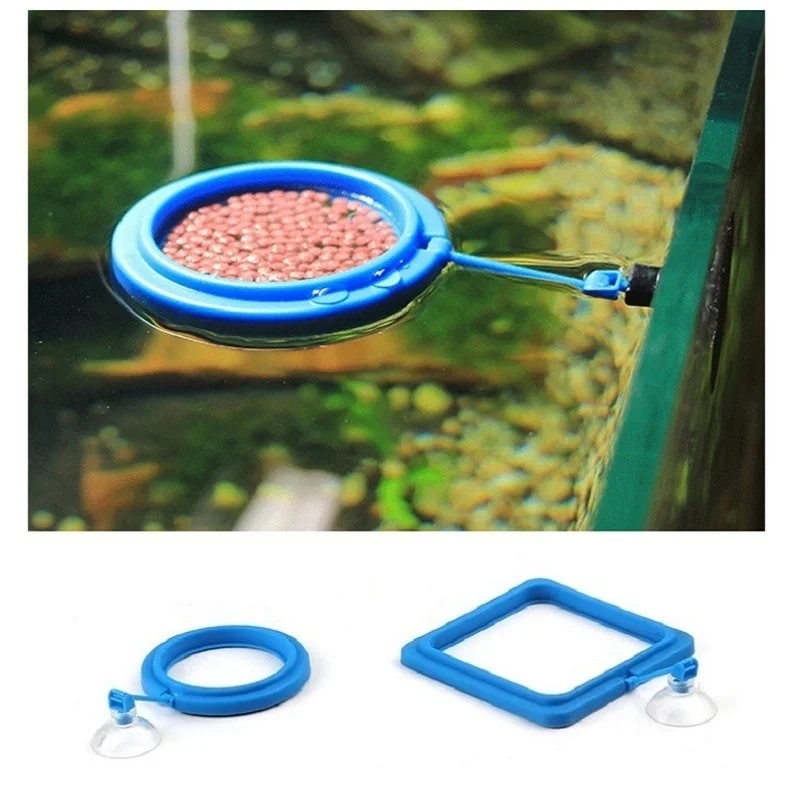 Feeder Fishing Accessories, Fish Tool Accessories