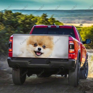 ☂Pomeranian Animal Car sticker truck tail vinyl wrap appearance