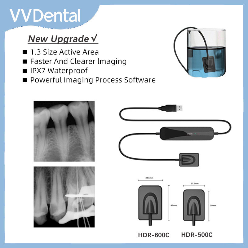 ⚖VV Dental Sensor RVG Radiovisiograph X-Ray Digital Sensor Intraoral ...