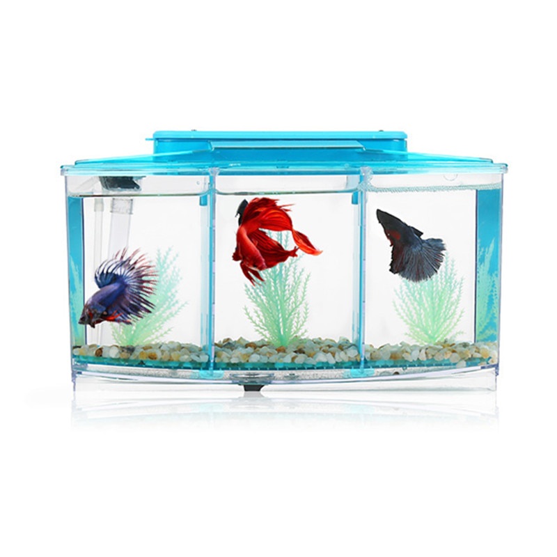 m3n Acrylic Three Splits Aquarium Betta Fish Bowl Led Light Aquarium