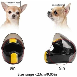 Full face outlet helmet for dogs