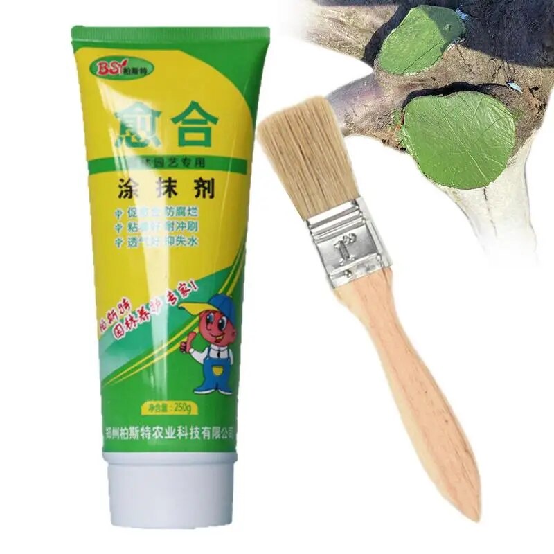 Tree Wound Sealer 250g Tree Wound Pruning Sealer And Grafting Tree   Ph 11134201 7r991 Lnlmei7tj6oq1f