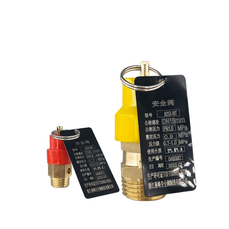 Air compressor safety valve generation test with thirdparty inspection