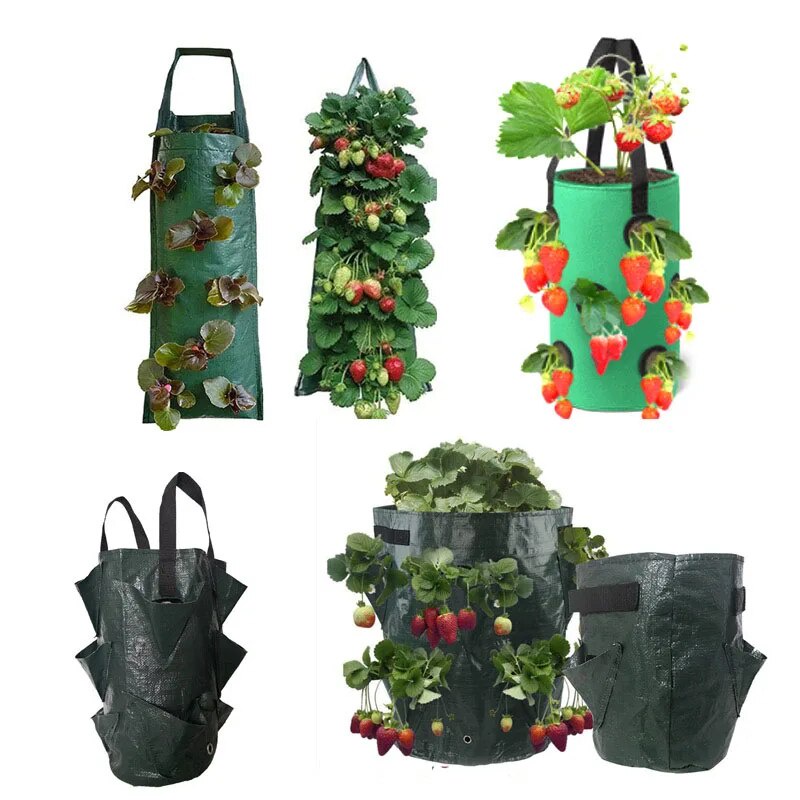 Borsa Sospesa Per Piante Con 4/8 Tasche - Coltiva Fragole E Fiori In Tessuto Resistente - Foto 3