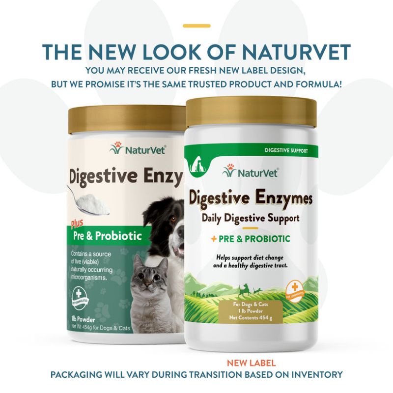 NaturVet Digestive Enzymes Plus Pre & Probiotic Powder, For Dogs & Cats