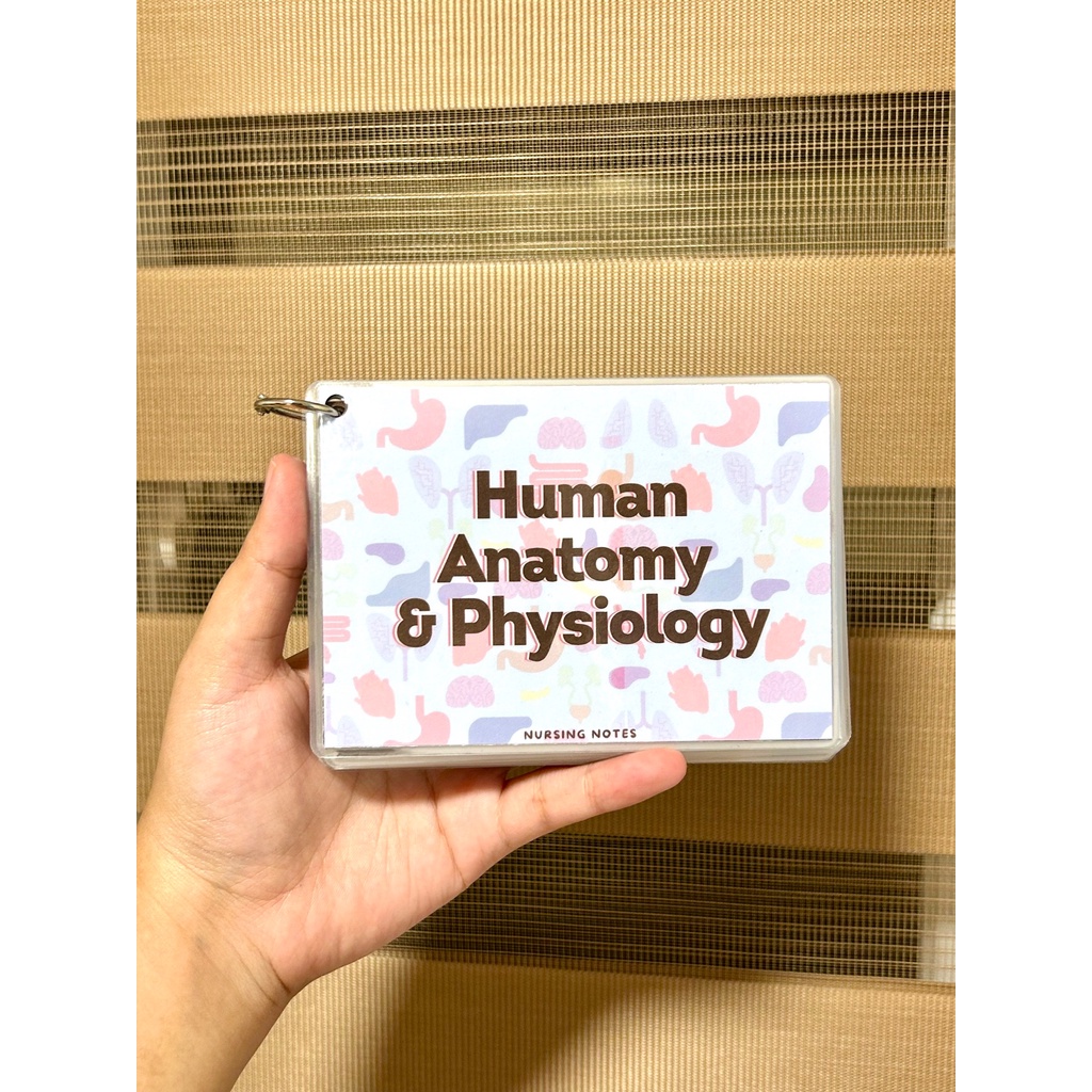 2024 laminated Anatomy NOTES NURSING and Flashcard by physiology ...