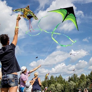 160cm Super Huge Kite Line Stunt Kids Kites Toys Kite Flying Long Tail ...